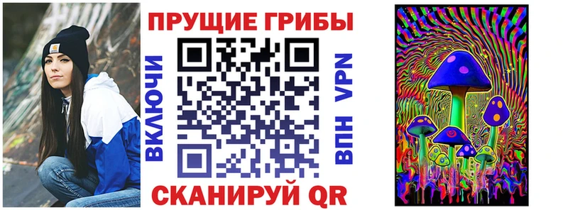 Псилоцибиновые грибы MAGIC MUSHROOMS  как найти закладки  Прокопьевск 